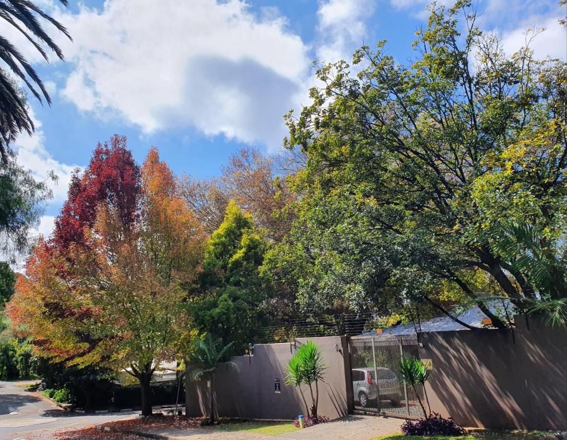 7Th Street Guesthouse Johannesburg Eksteriør bilde